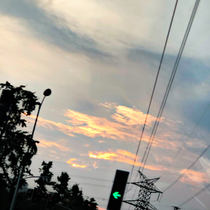 美女无遮掩日本网站
