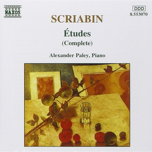 美女无遮掩日本网站
