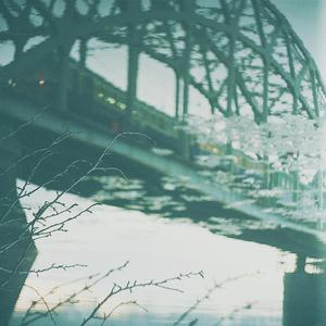 美女无遮掩日本网站
